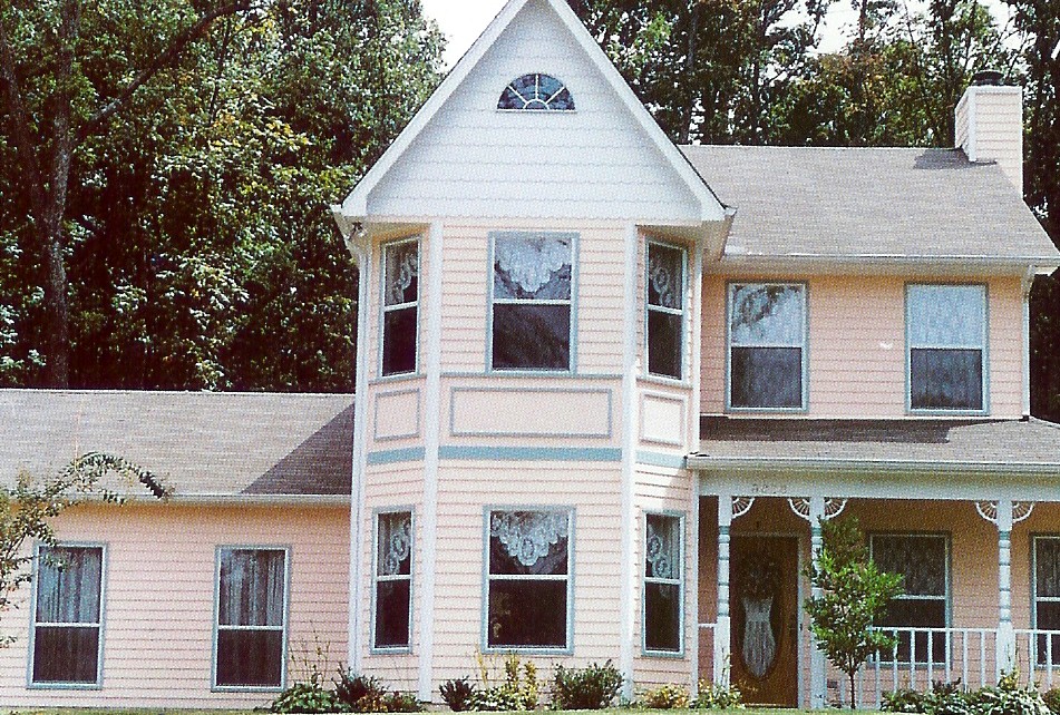 vinylhouse2.jpg